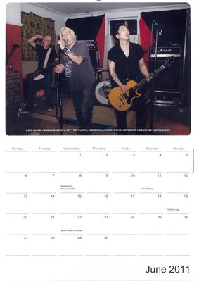 2011 Calendar - June