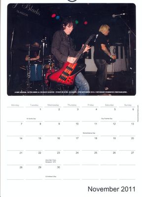 2011 Calendar - November