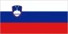 slovenian_flag.GIF